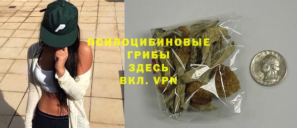 ECSTASY Няндома