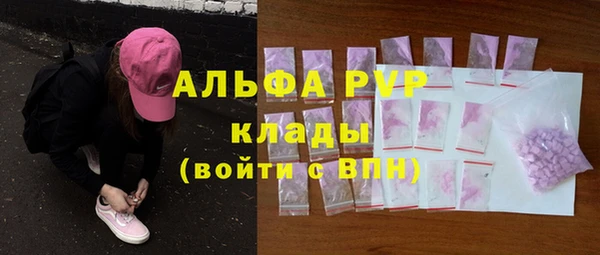 гидра Новозыбков