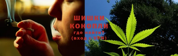 гидра Новозыбков