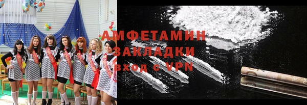 гидра Новозыбков